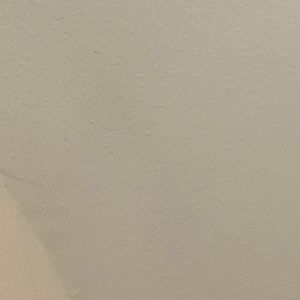 Meet your Posher, Cecilia